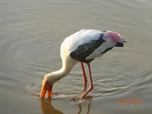 Citta Di Milano 3* Venedig