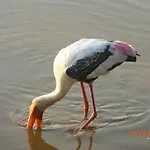 チッタ ディ ミラノ 3* ヴェネツィア
